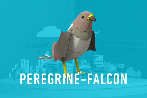 Peregrine-Falcon Scenario